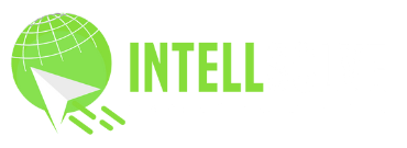 INTELLSOLVE